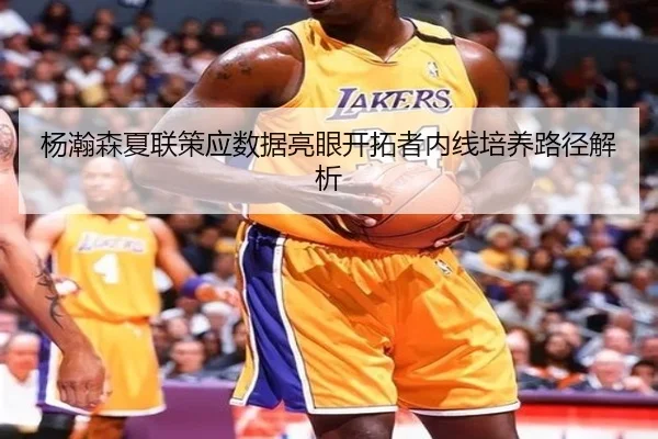 杨瀚森夏联策应数据亮眼开拓者内线培养路径解析